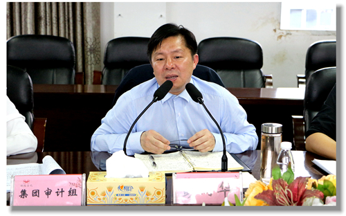 集團黨委委員、紀(jì)委書記彭向華強調(diào)審計整改工作要深挖思想根源(圖2)