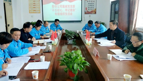 向宇飛列席指導(dǎo)股份公司氯堿黨支部“不忘初心、牢記使命”專題組織生活會(圖1)