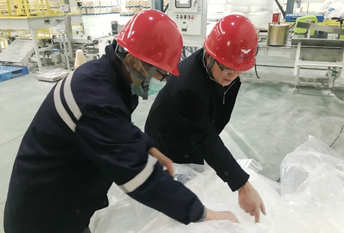 王大真到新材料公司、TPO項目現(xiàn)場和股份公司檢查工作(圖1)