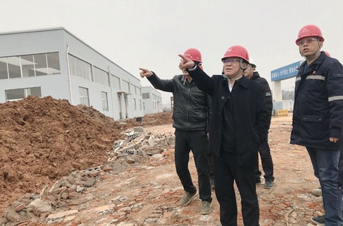王大真到新材料公司、TPO項目現(xiàn)場和股份公司檢查工作(圖2)