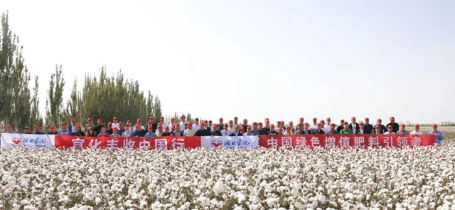 宜化豐收中國(guó)行！新疆棉花大型測(cè)產(chǎn)觀(guān)摩會(huì)成功舉行(圖1)