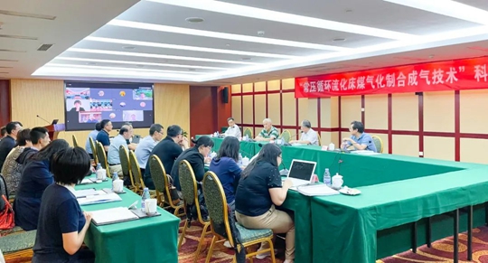 通過鑒定！新疆宜化一項技術達國際領先水平！